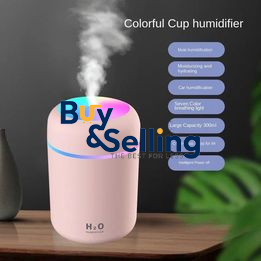 Small gift car/home Portable Humidifier